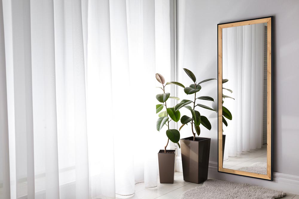 Large mirror and plants near window in light room