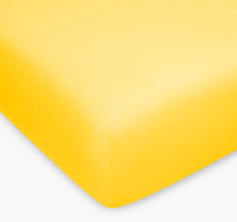 25233_000.jpg