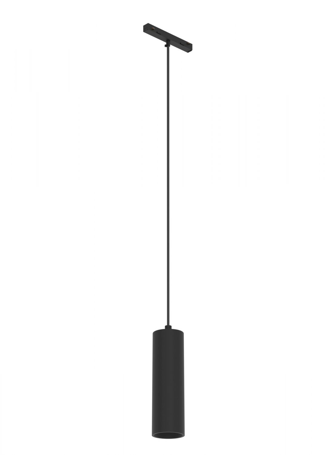 56895_000.jpg